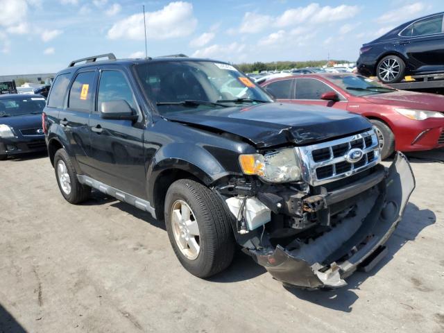 Ford Escape xlt (2011)