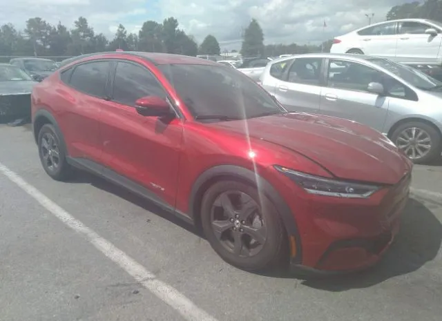 Ford Mustang mach-e (2021)