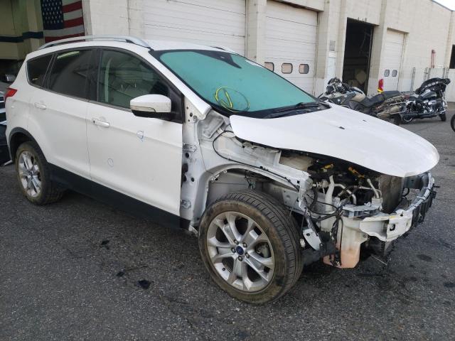 Ford Escape tit (2014)