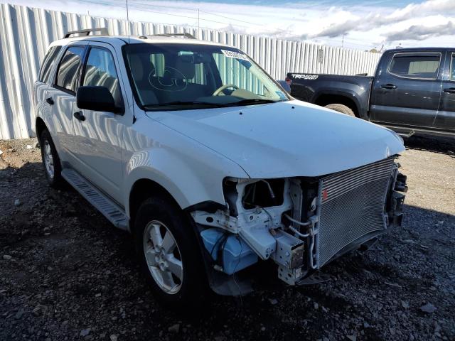 Ford Escape xlt (2011)