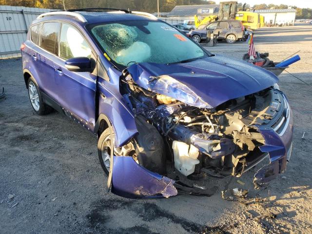 Ford Escape tit (2013)