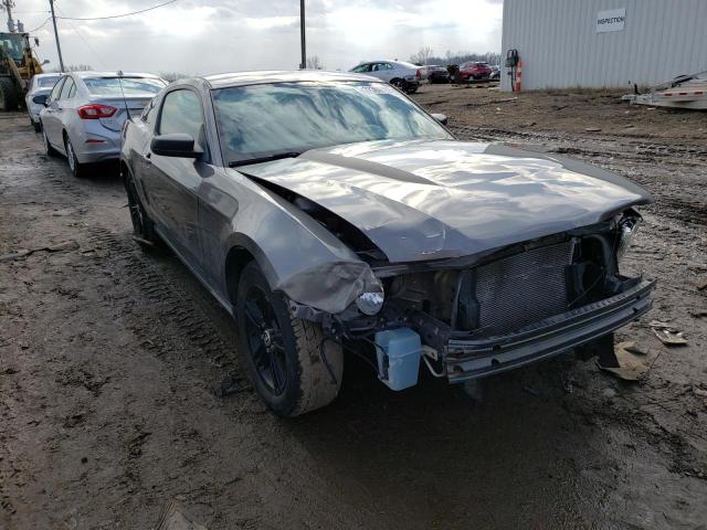 Ford Mustang (2010)