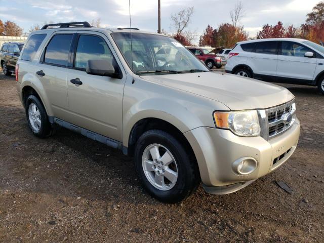 Ford Escape xlt (2010)