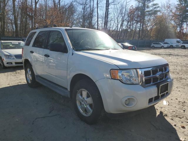 Ford Escape xlt (2011)