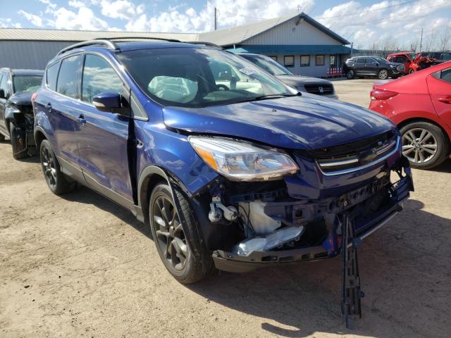 Ford Escape sel (2013)