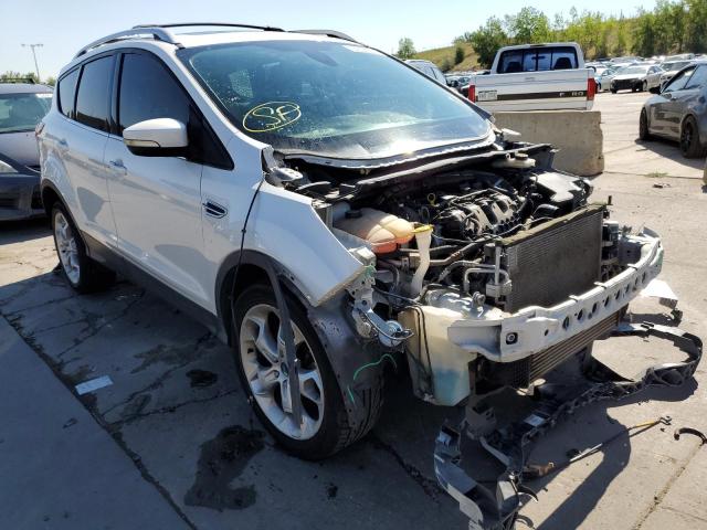 Ford Escape tit (2013)