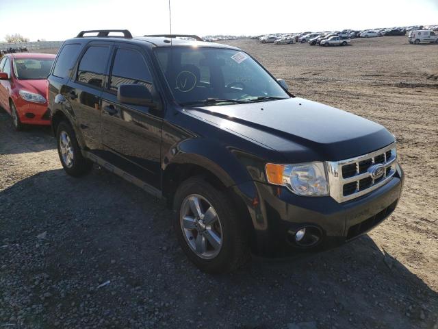 Ford Escape xlt (2011)