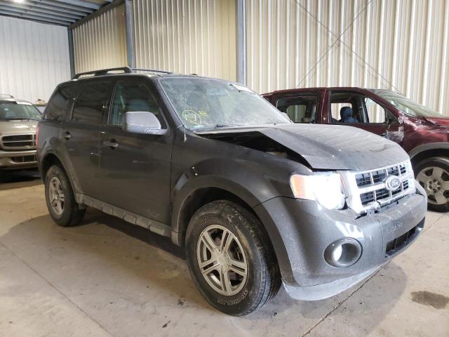 Ford Escape xlt (2010)