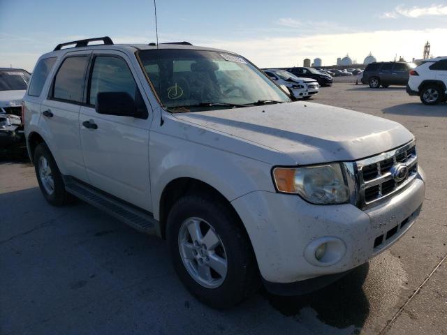 Ford Escape xlt (2012)