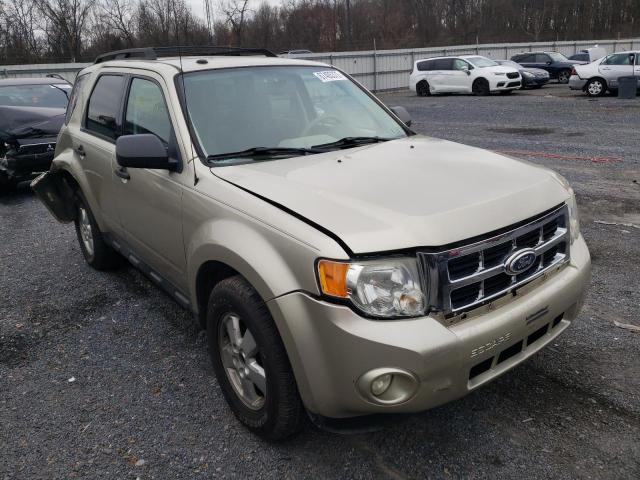 Ford Escape xlt (2010)