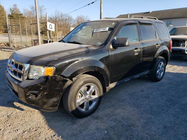 Ford Escape xlt (2010)