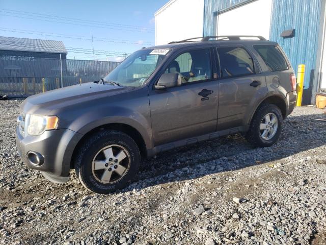 Ford Escape xlt (2011)