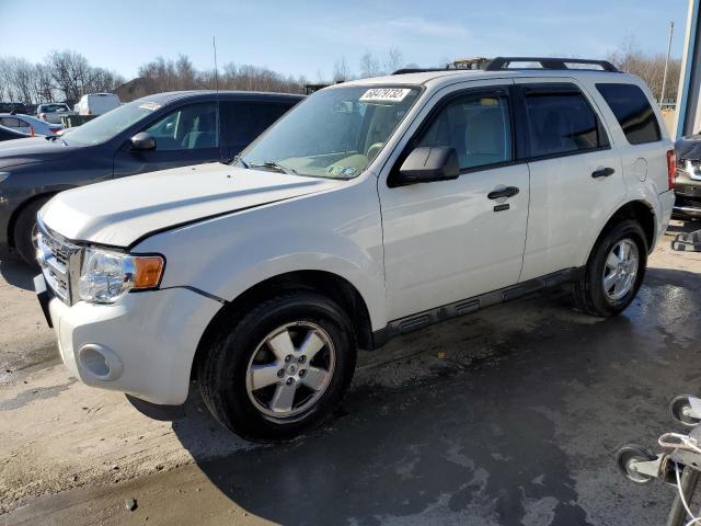 Ford Escape xlt (2011)