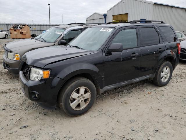 Ford Escape xlt (2010)