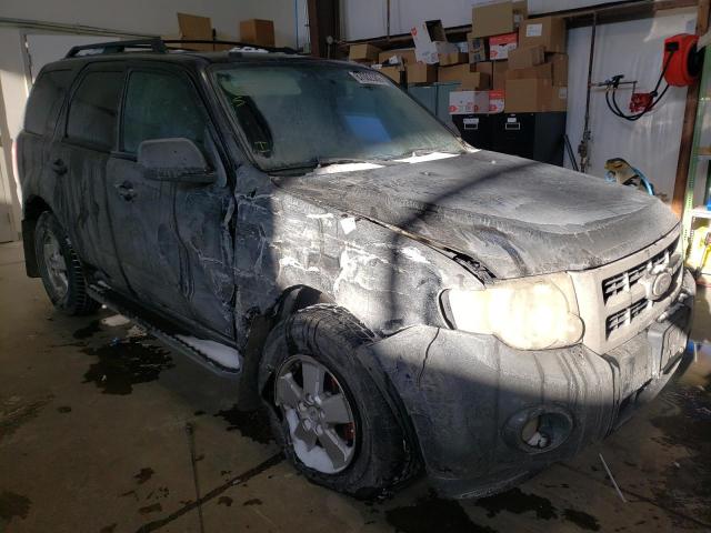 Ford Escape xlt (2010)