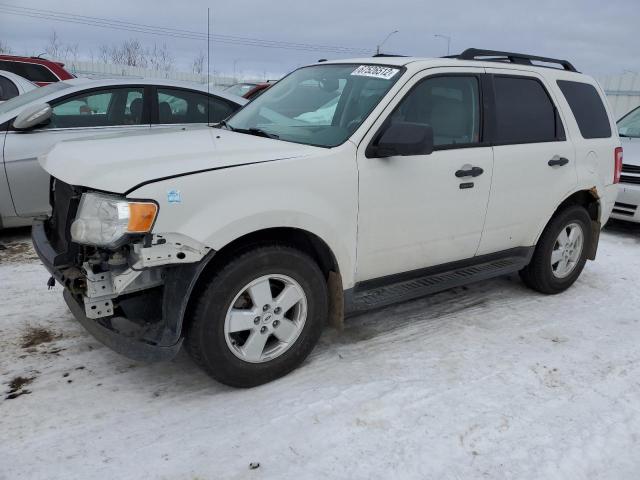 Ford Escape xlt (2011)