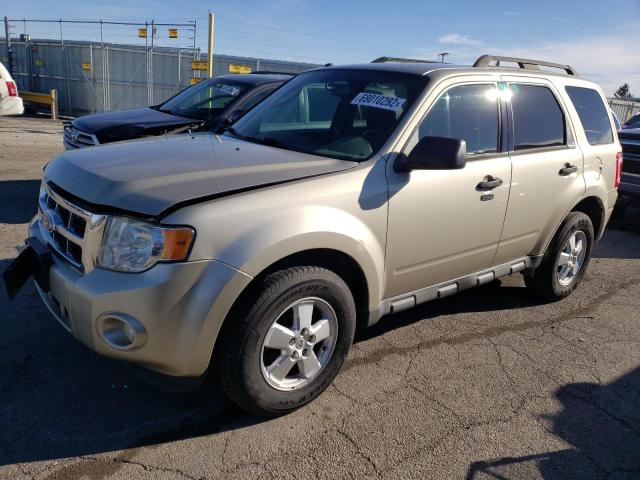 Ford Escape xlt (2010)