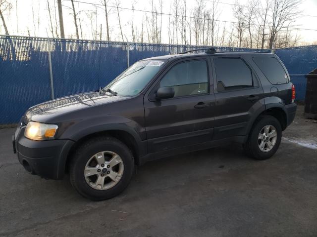 Ford Escape xlt (2006)