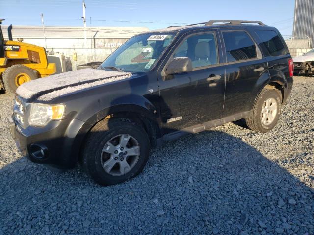 Ford Escape xlt (2008)