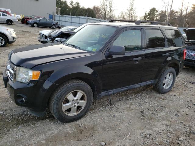 Ford Escape xlt (2009)