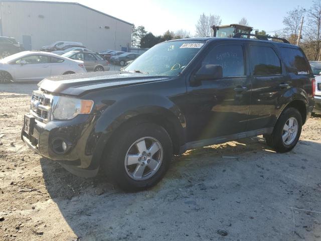 Ford Escape xlt (2011)