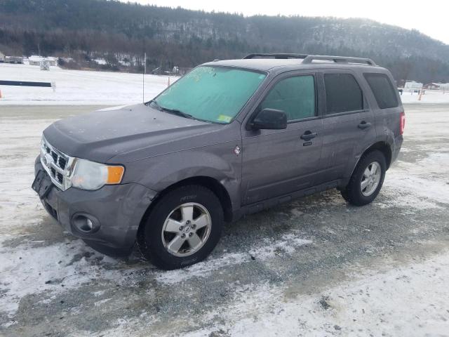 Ford Escape xlt (2011)