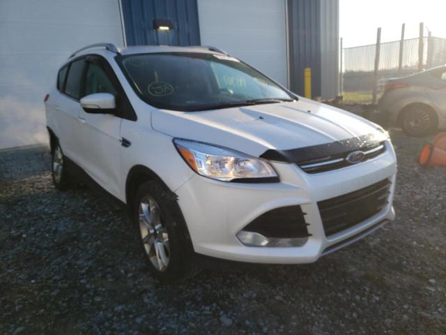 Ford Escape tit (2015)