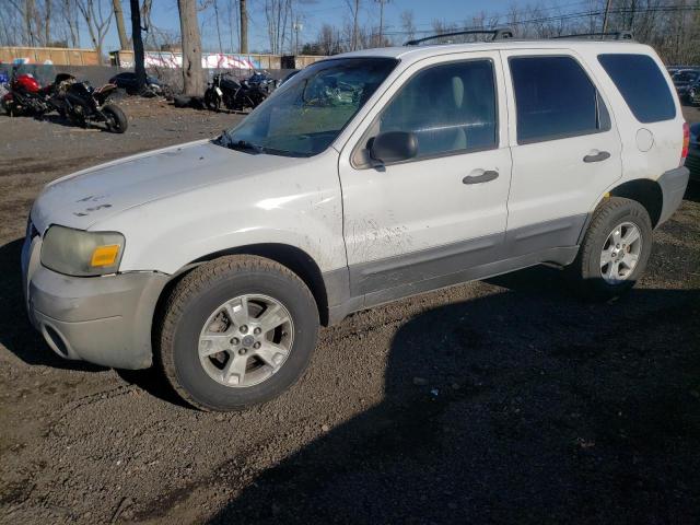 Ford Escape xlt (2006)