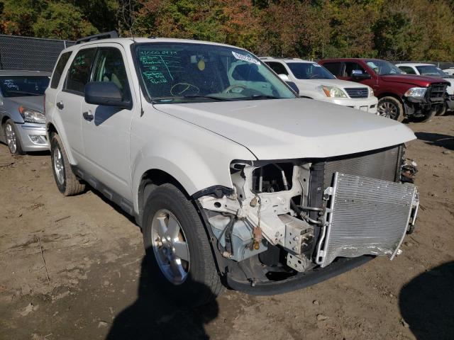 Ford Escape xlt (2011)