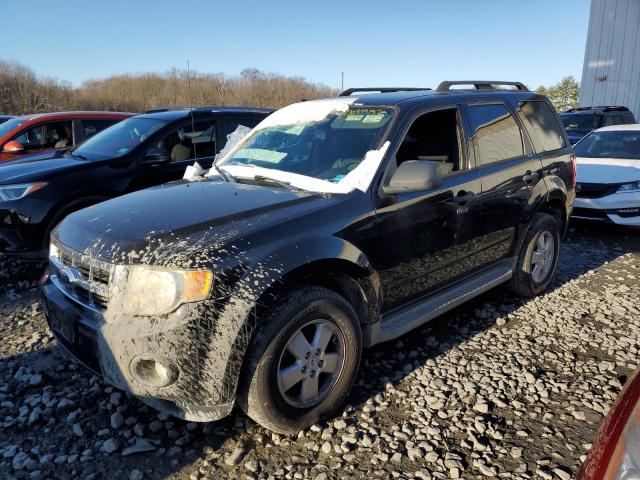 Ford Escape xlt (2011)