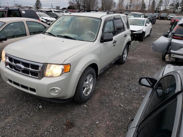 Ford Escape xlt (2009)