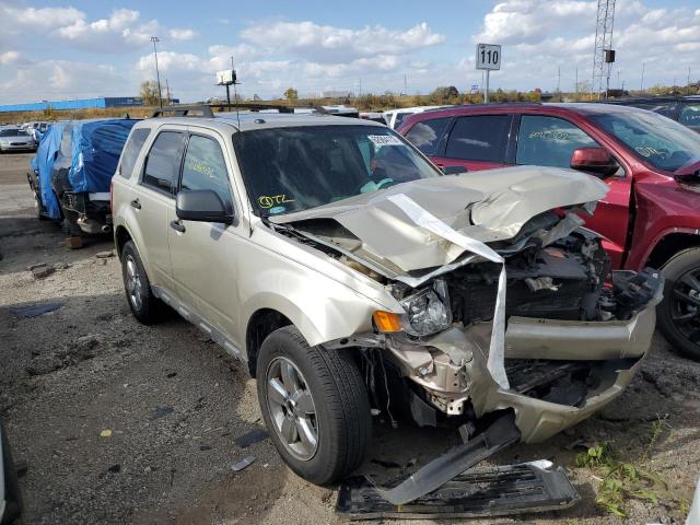 Ford Escape xlt (2010)