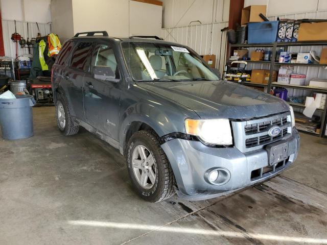 Ford Escape hyb (2010)