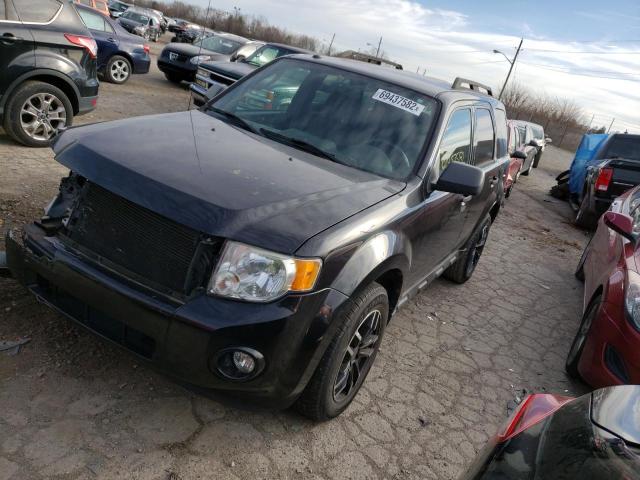 Ford Escape xlt (2010)