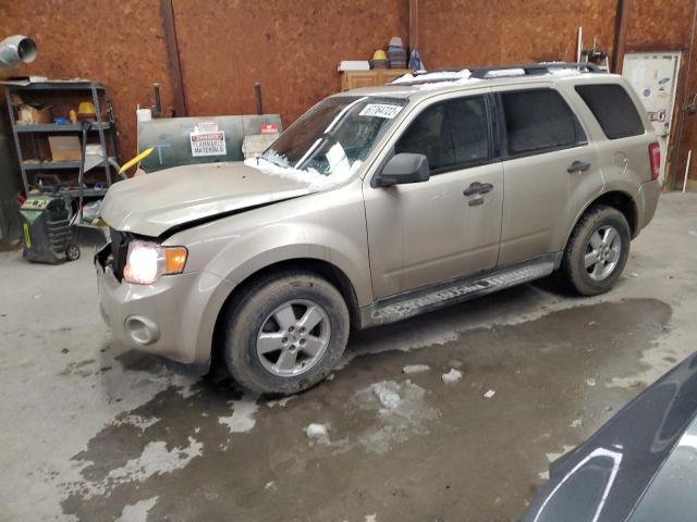 Ford Escape xlt (2010)