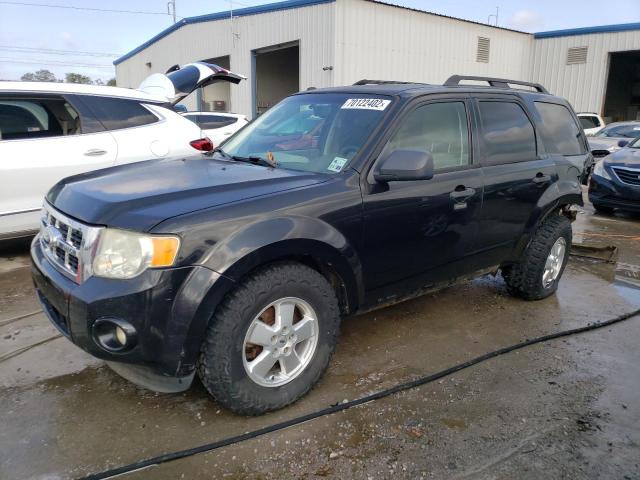 Ford Escape xlt (2011)