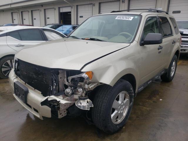 Ford Escape xlt (2011)