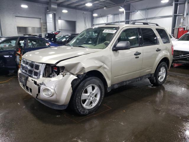 Ford Escape xlt (2011)