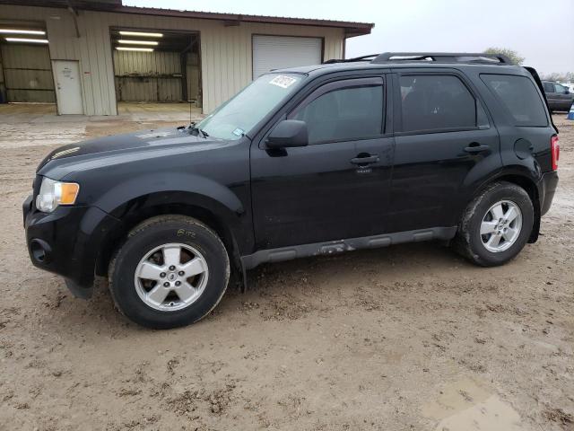Ford Escape xlt (2012)