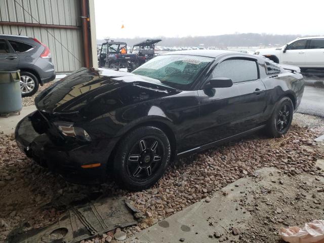 Ford Mustang (2012)