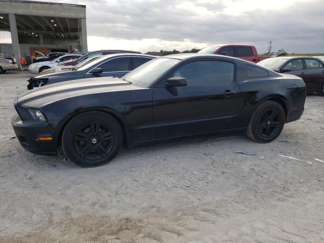 Ford Mustang (2013)