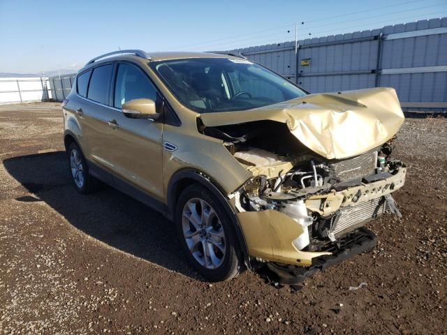 Ford Escape tit (2014)