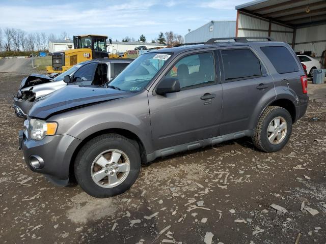 Ford Escape xlt (2011)