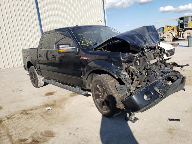 Ford F 150 (2014)