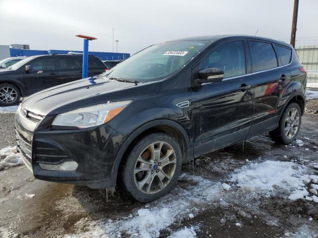 Ford Escape sel (2013)