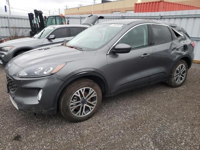 Ford Escape sel (2022)