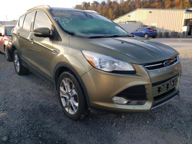 Ford Escape tit (2014)