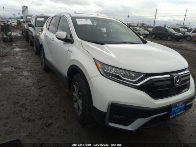 Honda Cr-v hybrid (2022)