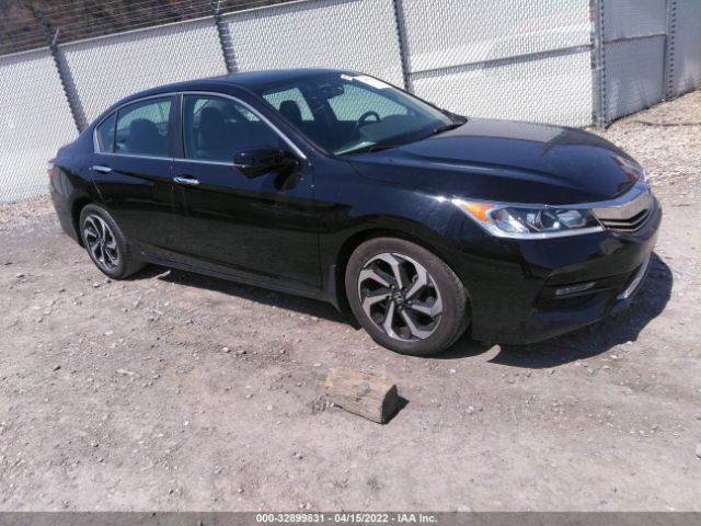 Honda Accord sedan (2016)