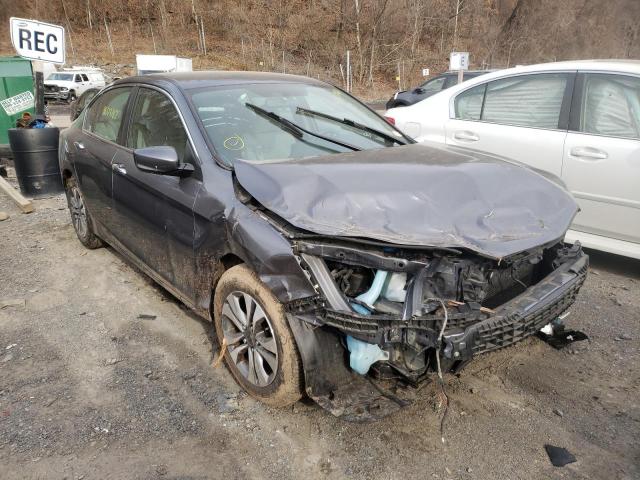 Honda Accord lx (2013)